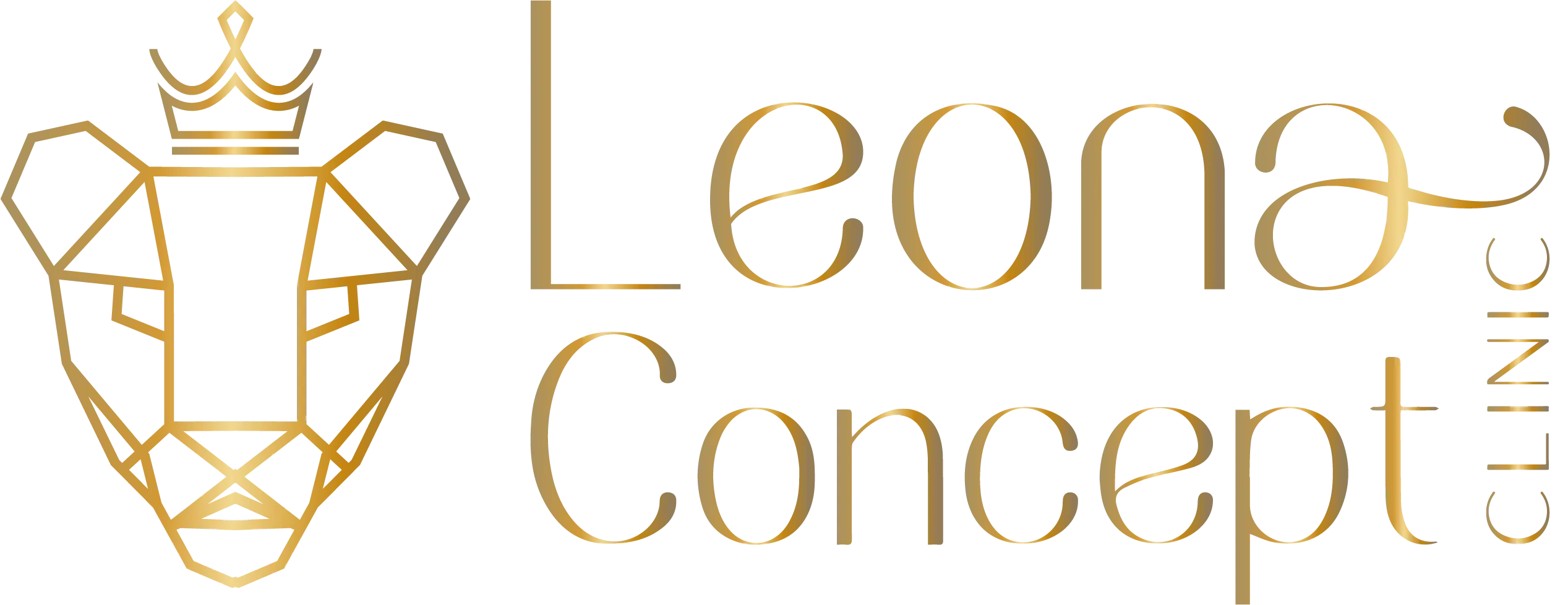 Logo escrito Leona Concept